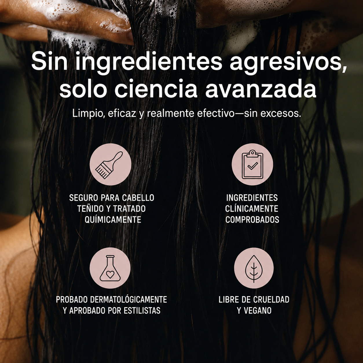 ALVEA | Shampoo equilibrante. Combate la Caspa, Picazón y Dermatitis Seborreica
