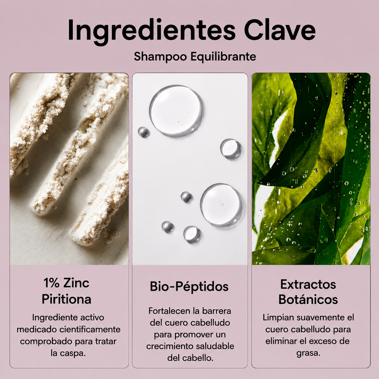 ALVEA | Shampoo equilibrante. Combate la Caspa, Picazón y Dermatitis Seborreica