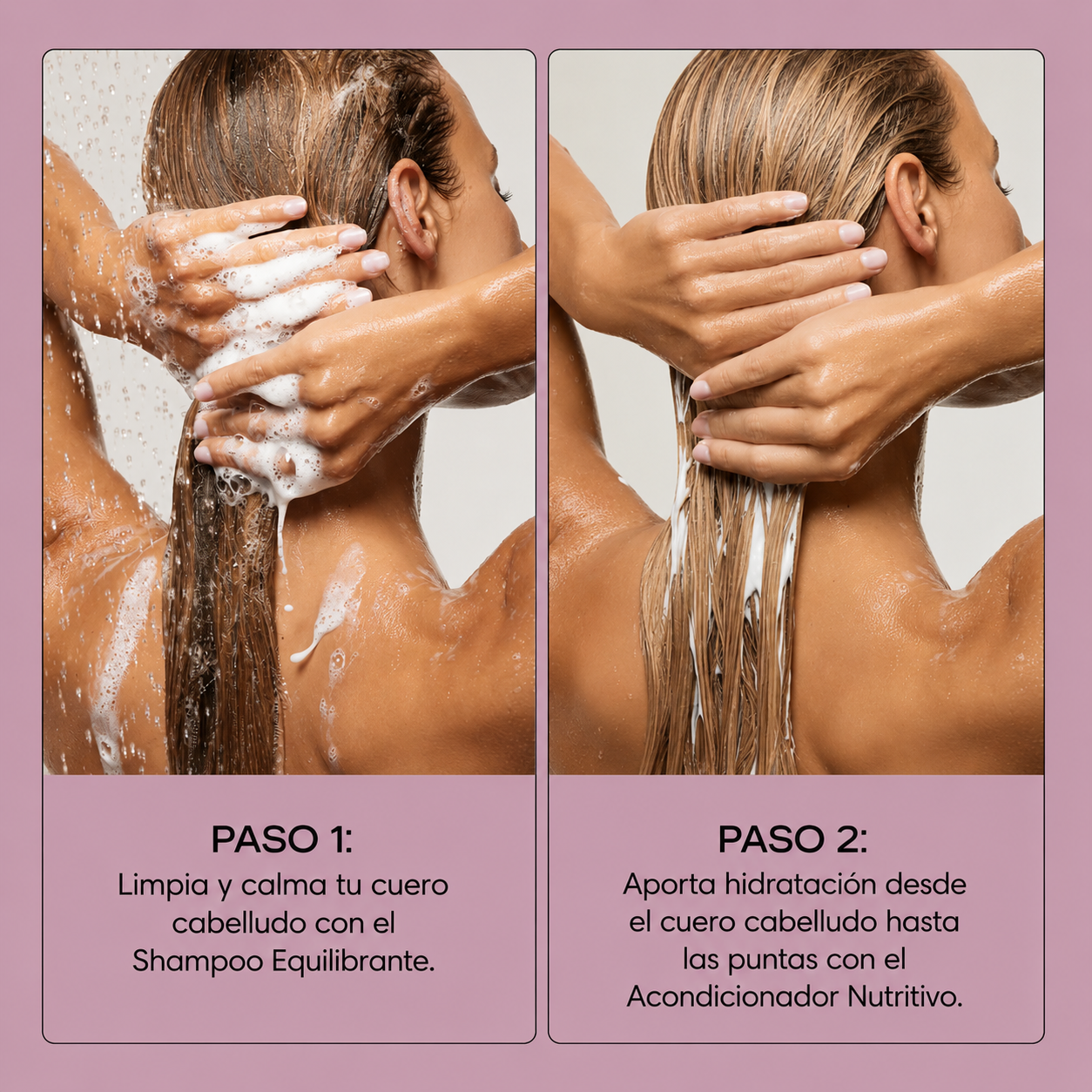ALVEA | Shampoo equilibrante. Combate la Caspa, Picazón y Dermatitis Seborreica