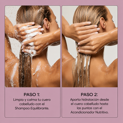 ALVEA | Shampoo equilibrante. Combate la Caspa, Picazón y Dermatitis Seborreica