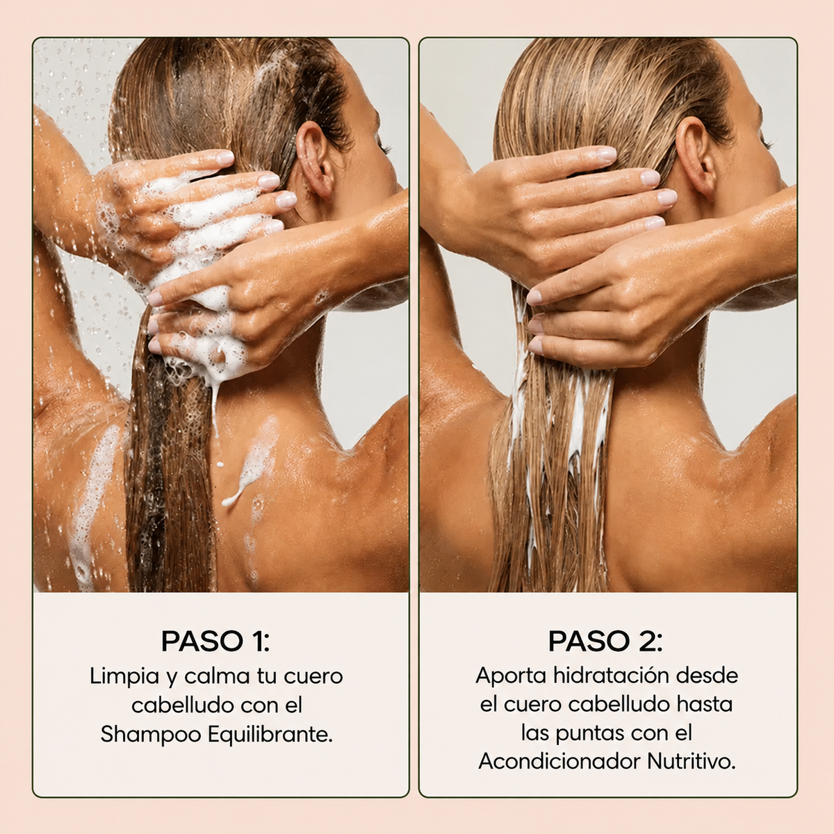 ALVEA | Shampoo equilibrante. Combate la Caspa, Picazón y Dermatitis Seborreica