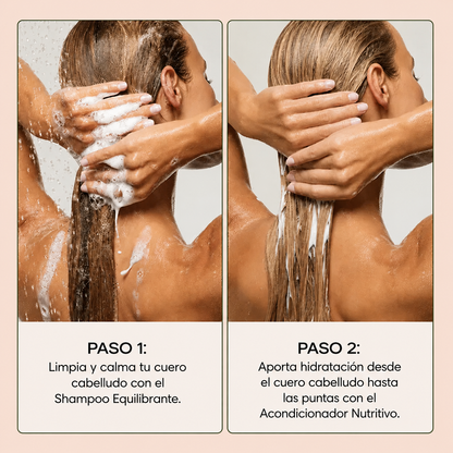 ALVEA | Shampoo equilibrante. Combate la Caspa, Picazón y Dermatitis Seborreica