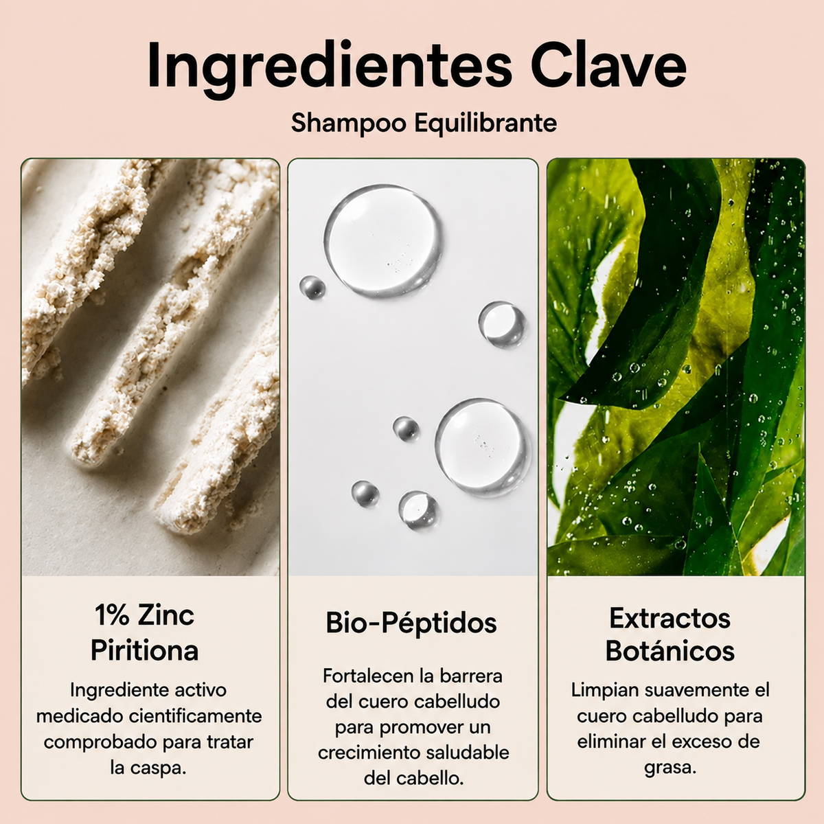 ALVEA | Shampoo equilibrante. Combate la Caspa, Picazón y Dermatitis Seborreica