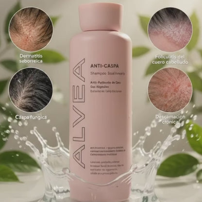 ALVEA | Shampoo equilibrante. Combate la Caspa, Picazón y Dermatitis Seborreica